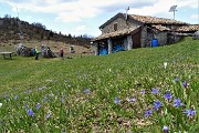 79 Noi andiamo alla Baita Cancervo (1697 m)